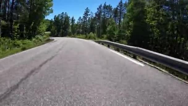 First Person View Nordic Two Lane Road Forest Mountains — Wideo stockowe