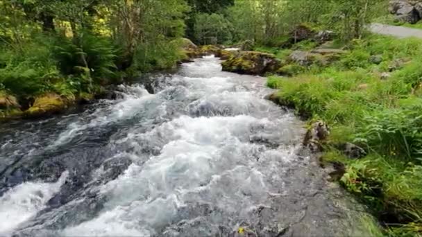 Beautiful River Wild Nature Norway Aenes Slow Motion — Stockvideo