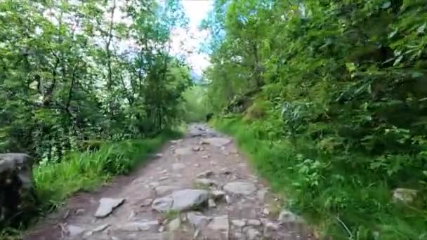 Trekking Auf Einem Steinigen Pfad Norwegen Norwegen Klettern Folgefonna Nationalpark — Stockvideo