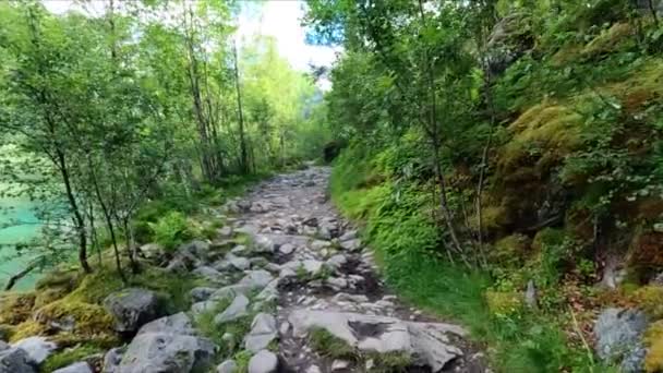 Trekking Auf Einem Steinigen Pfad Norwegen Norwegen Klettern Folgefonna Nationalpark — Stockvideo