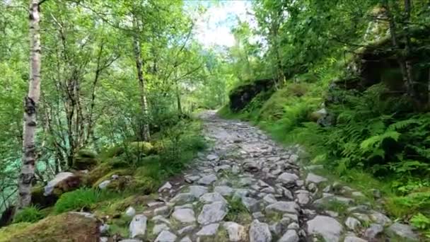 Trekking Auf Einem Steinigen Pfad Norwegen Norwegen Klettern Folgefonna Nationalpark — Stockvideo