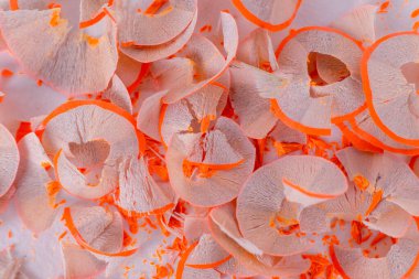 Renkli kalem talaşlarının yakın plan çekimi. Beyaz arka planda arka planda kalem talaşı. Renkli kalem parçaları. Turuncu ahşap kalemden talaş.