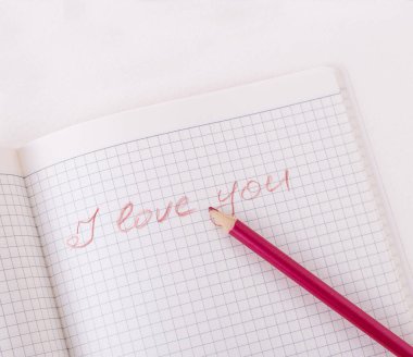 Not defterinde kırmızı bir kalem. Damalı bir defter. Defterdeki yazıyı. Yazı kırmızı. Seni seviyorum.