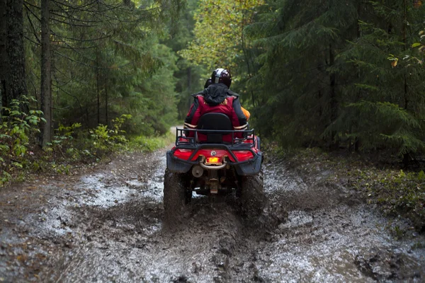 Quadbike ridning i skogen Royaltyfria Stockbilder