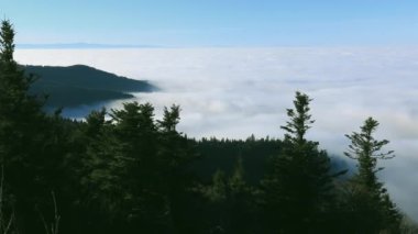 Sea of clouds seen from Mont Pilat in France.