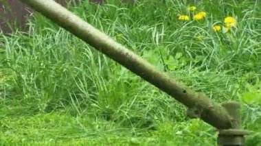 Çim biçme, benzin biçme makinesi bahçedeki çimleri biçer, çimenleri biçer..