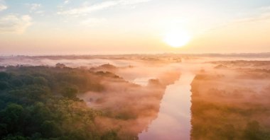 Morning fog, dawn in the forest, the sun's rays fall on the fog, view from a drone, aerial photography