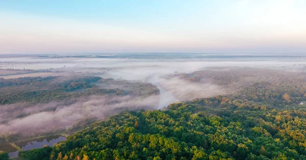 Morning forest, fog over the forests at dawn, view from a drone, aerial photography