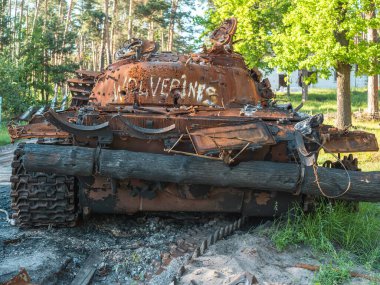Ukrayna 'daki savaşta, Ukraynalı bir asteğmenin bulunduğu imha edilmiş bir Rus tankı ormanın arka planına, dikiz aynasına karşı yol kenarında duruyordu.