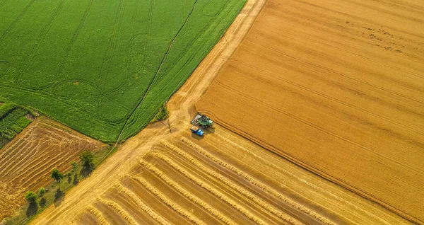 Ukraine, wheat harvest, drone view, harvester loading wheat into a truck, aerial shot.