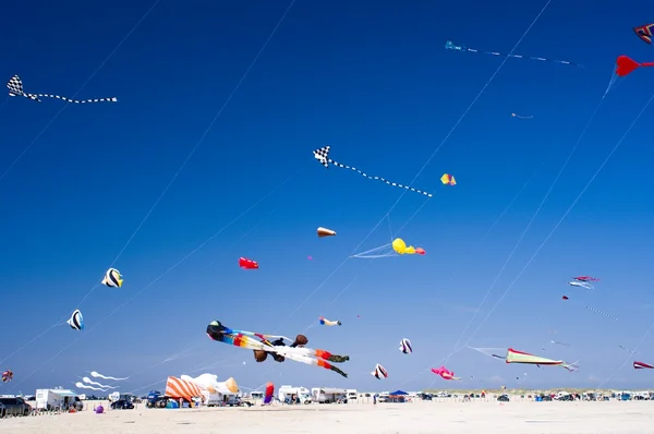 Kites in the sky — Stock Photo, Image