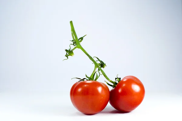 チェリー トマト — ストック写真