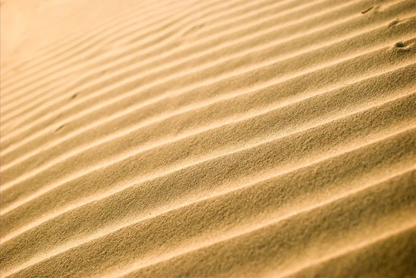 Desierto — Foto de Stock