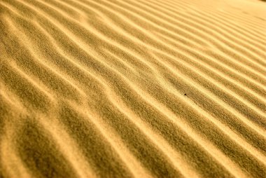 rascacielos Burj khalifa