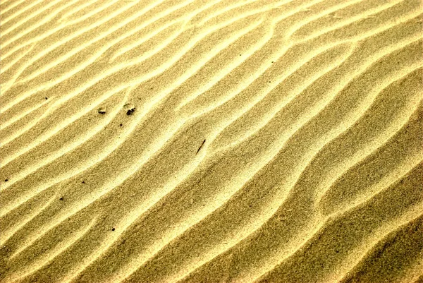 Δομές της ερήμου — Φωτογραφία Αρχείου