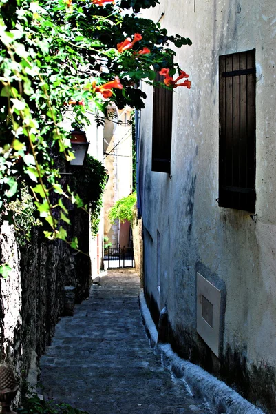 Provence izlenimleri — Stok fotoğraf