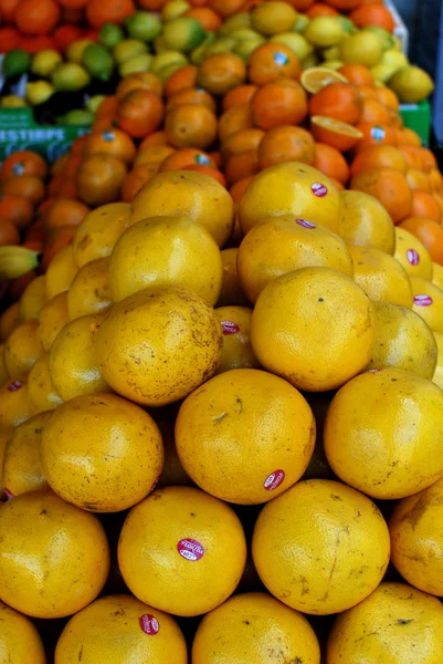 Fresh Vegetables — Stock Photo, Image