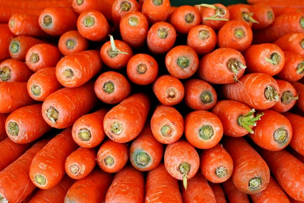 Karotten — Stockfoto