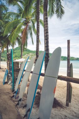 Yaz plajında kiralanacak çok sörf tahtası var.. 