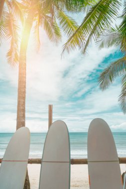 Yaz plajında kiralanacak çok sörf tahtası var.. 