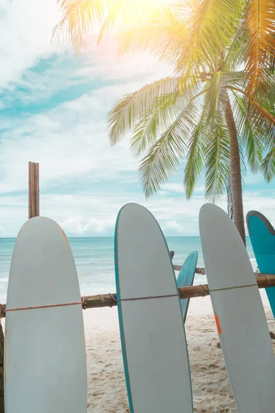 Wiele Desek Surfingowych Wynajęcia Letniej Plaży Jasnym Słońcem Niebieskim Tle — Zdjęcie stockowe