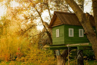 Parktaki bir ağaçta oyun ve eğlence için küçük bir çocuk evi. Büyük bir ağacın dallarındaki ev.