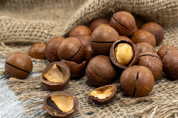 Macadamia. Macadamia fındıkları kabukta kabuğu soyulmuş ve soyulmamış gri bir kumaşın üzerinde bir yığın halinde yatar.