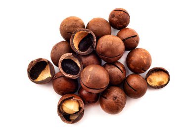 Macadamia izole et. Macadamia fındıkları beyaz arka planda bir yığın halinde yatar.