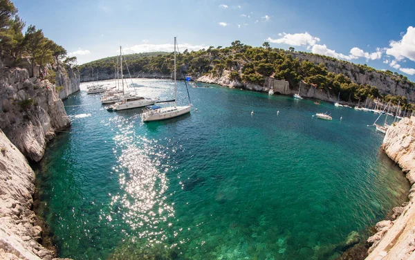 Calanques sailingboats ile