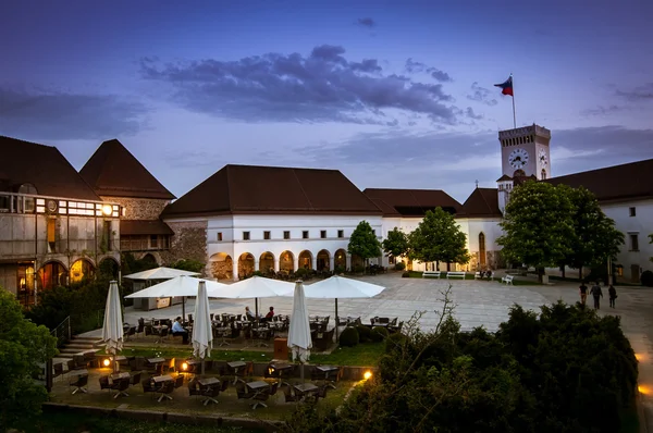 Ljubljana castle iç