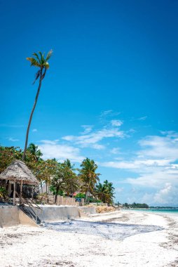 Zanzibar Adası 'ndaki Paje Plajı