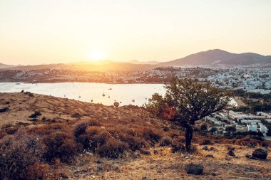Panoramic view of Gumbet District of Bodrum, mediterranean city in Turkey on aegean coast in sunset. Toned image.