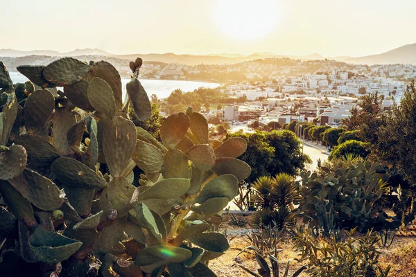 Panoramic view of Gumbet District of Bodrum, mediterranean city in Turkey on aegean coast in sunset. Toned image.