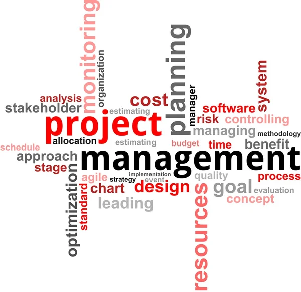 Word Cloud - Projektmanagement — Stockvektor