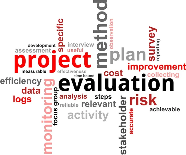 Word cloud - project evaluation — Stock Vector