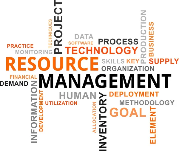 Word cloud - gestione delle risorse — Vettoriale Stock