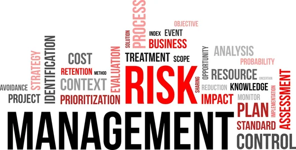 Word cloud - risk management — Stock Vector