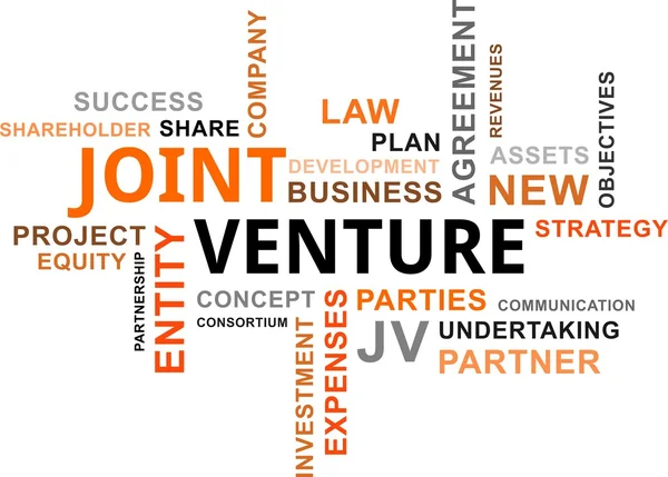 Parola nube - joint venture — Vettoriale Stock