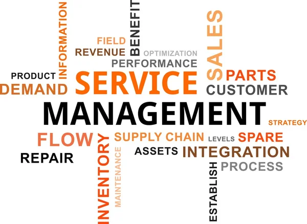 Word Cloud - Service Management — Stockvektor