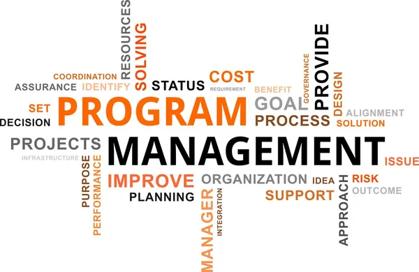 Word Cloud - Gestion des programmes — Image vectorielle