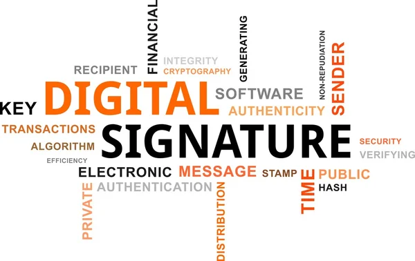 Word cloud - firma digitale — Vettoriale Stock