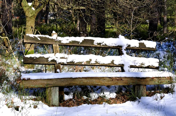 Snow covered bench — Stock Photo, Image