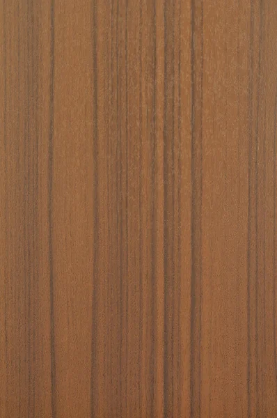 Walnut Texture — Stock Photo, Image