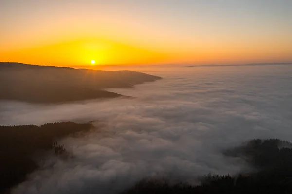 Туман в горной долине на рассвете. Утро в тумане. Воздушный беспилотник. — стоковое фото