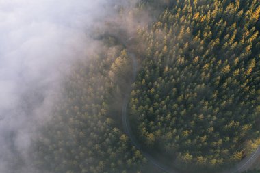 Sonbahar ormanındaki dolambaçlı yolun güzel manzarası. Drone fotoğrafçılığı