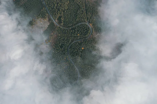 Niebla sobre el camino forestal. Carretera sinuosa en medio del bosque. Bosque verde. Fotos De Stock