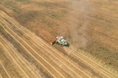 21 Temmuz 2020 - Editör - Belarus: CLAAS 'ı Birleştir. Mevsimlik tahıl hasadı. Hasat makinesini tarlada birleştirin..