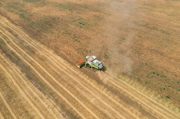 21 de julio de 2020 - Editorial - Bielorrusia: Combine CLAAS. Cosecha estacional de cultivos de grano. Cosechadora combinada en el campo. — Foto de Stock