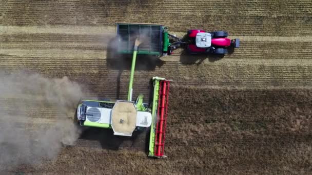 Raccolta sul campo di grano Combinare e trattore Macchine per l'agricoltura Tecnologia Modifiche alimentari Concetto di agricoltura agricola — Video Stock