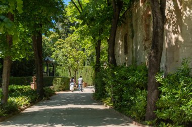 Barcelona 'daki Parque Laberinto de Horta' da bir labirent. Katalonya.